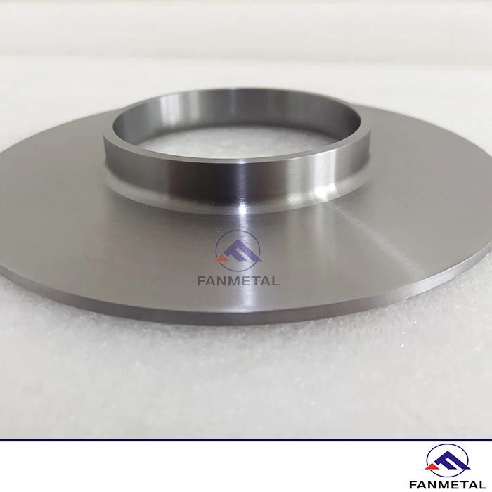 Cilalı Tantal Flanş